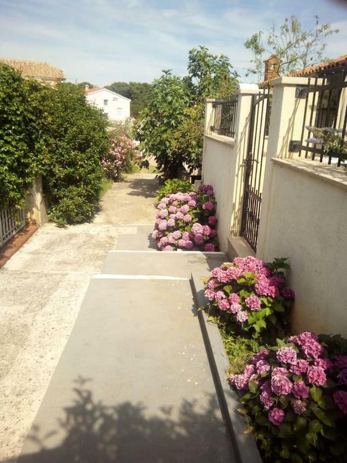 Apartman Vida Pula Exteriér fotografie